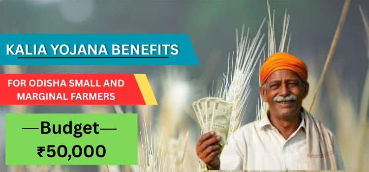 KALIA Yojana