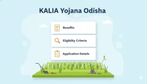 Kalia Yojana